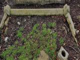 image of grave number 784640